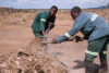 Zambeef Workers Working On Compost Manure Made From Waste Captured From Various Processing Processess 2