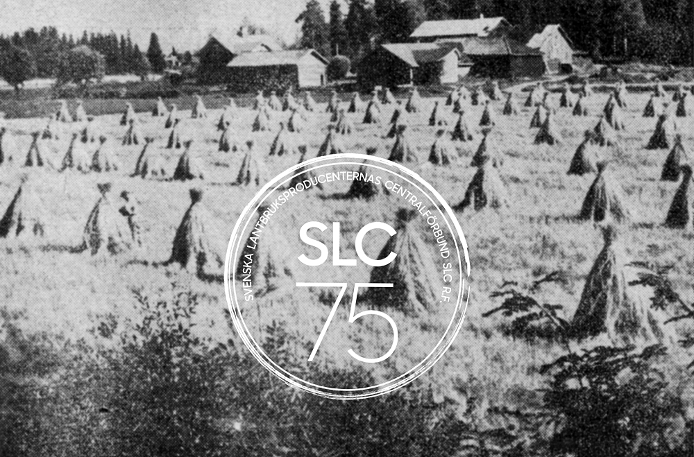 SLC - Slc 75 Hosnejsning