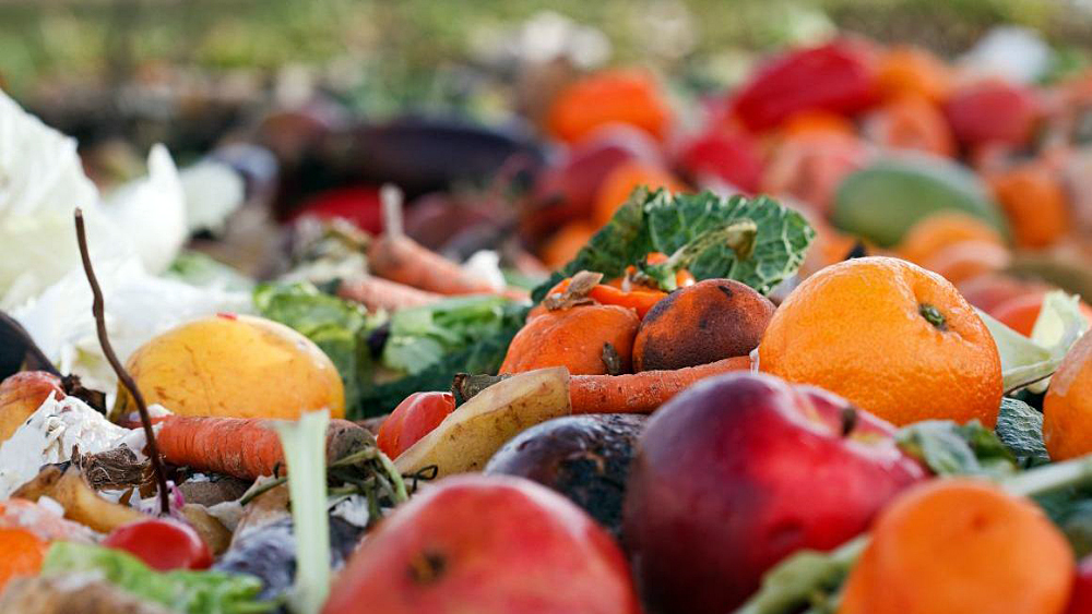 SLC - Lebensmittelverschwendung Abfall Obst