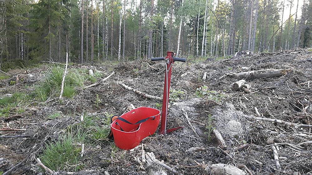 SLC - Skog Plantering Sb
